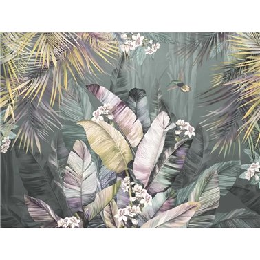 Venature tropicali CB146-1-1