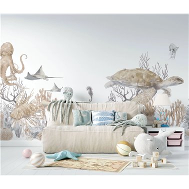 Corallina CB017-1