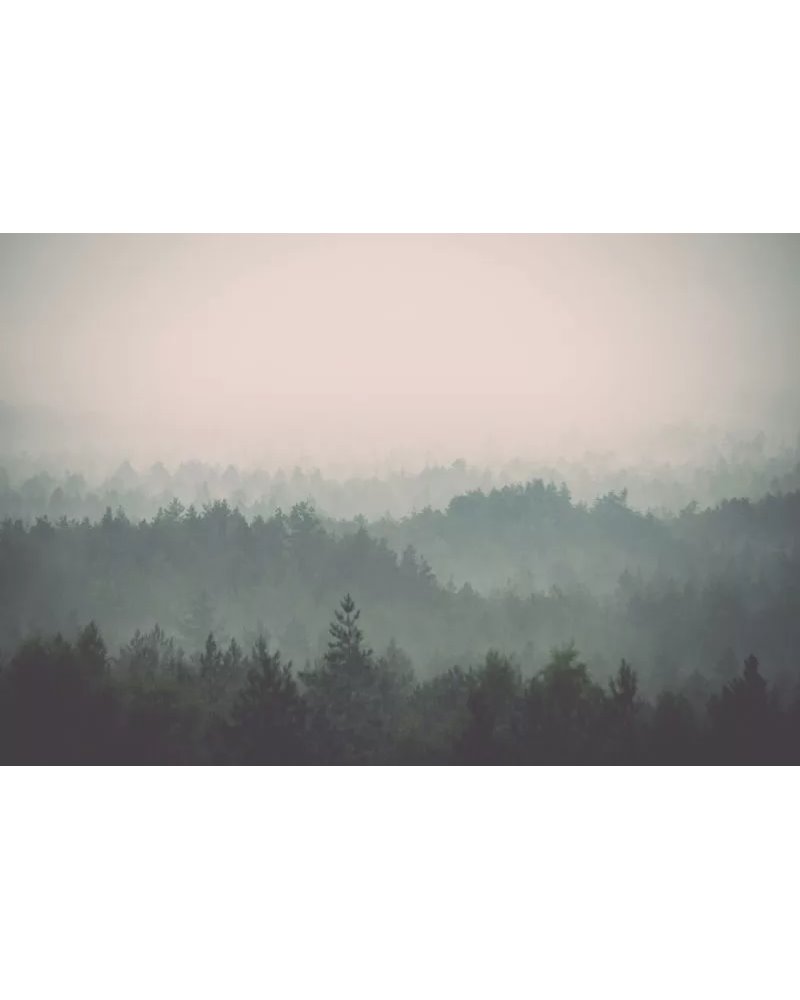 Foresta nera CB039-1