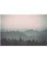 Foresta nera CB039-1