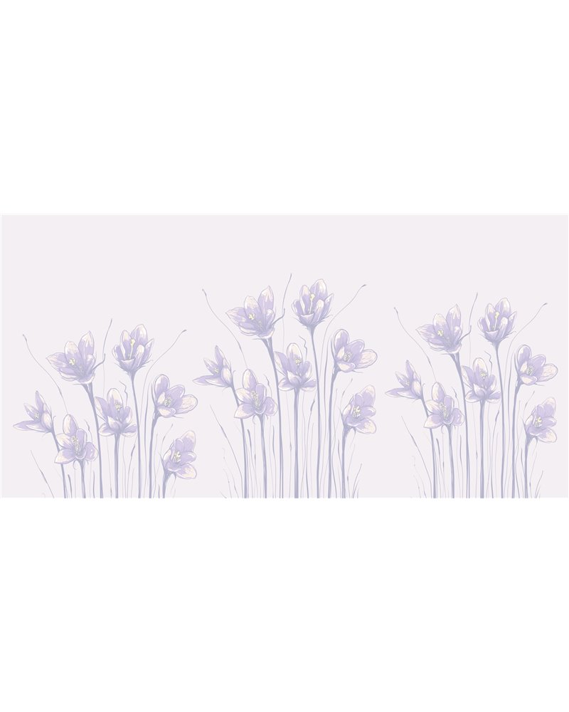 Petunia CB160-1