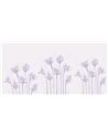 Petunia CB160-1