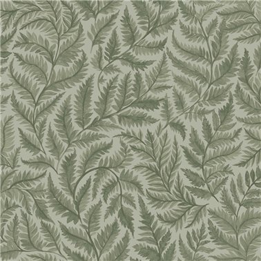 Ferns 7792