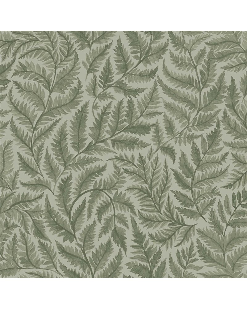 Ferns 7792 Ferns 7792