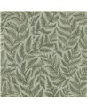 Ferns 7792