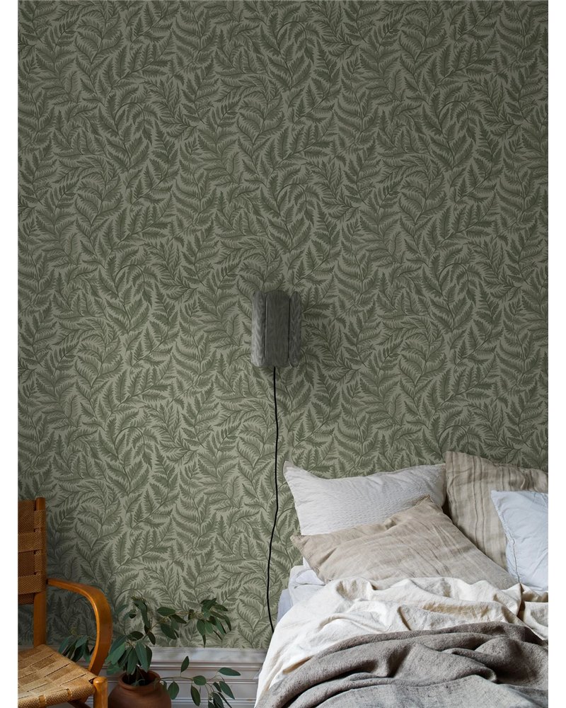 Ferns 7792
