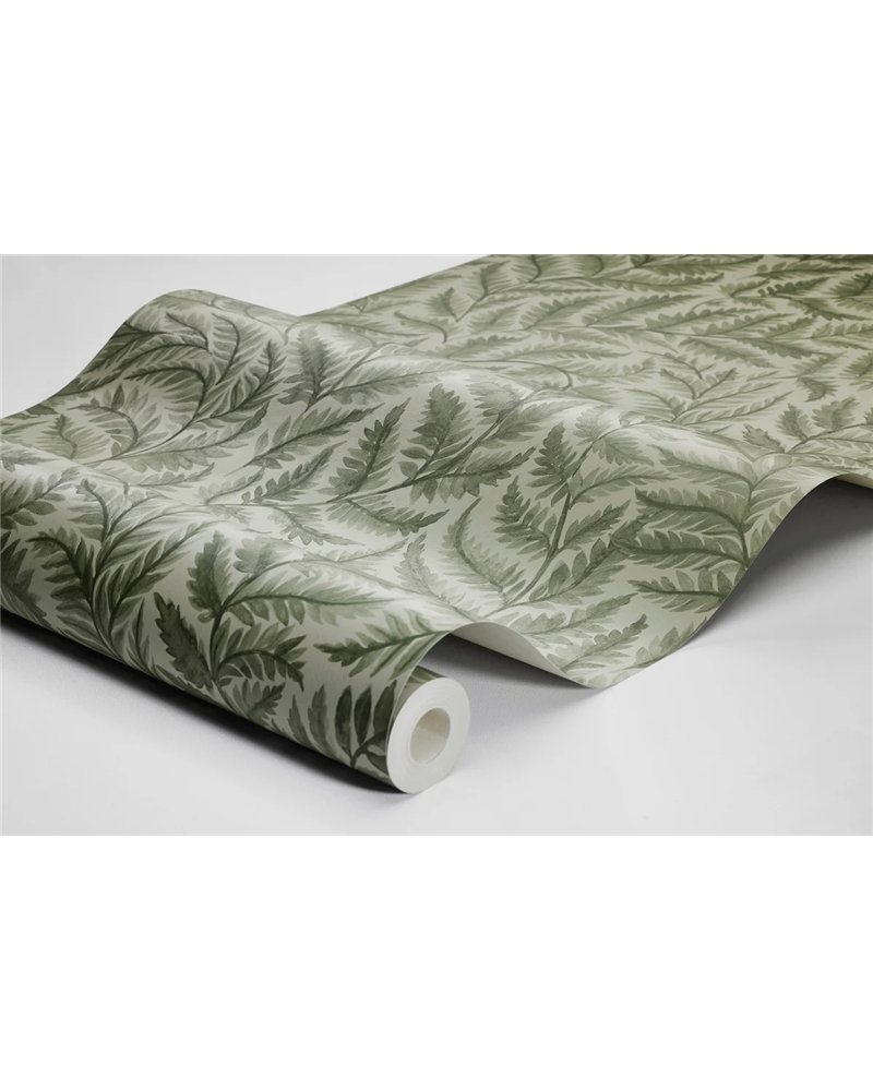 Ferns 7792