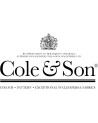 COLE and SON