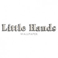 LITTLE HANDS