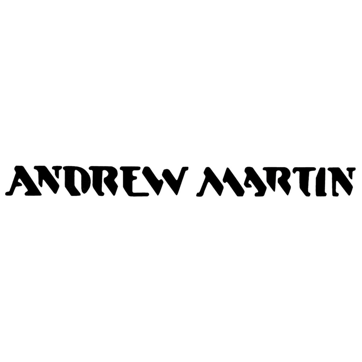 Andrew Martin